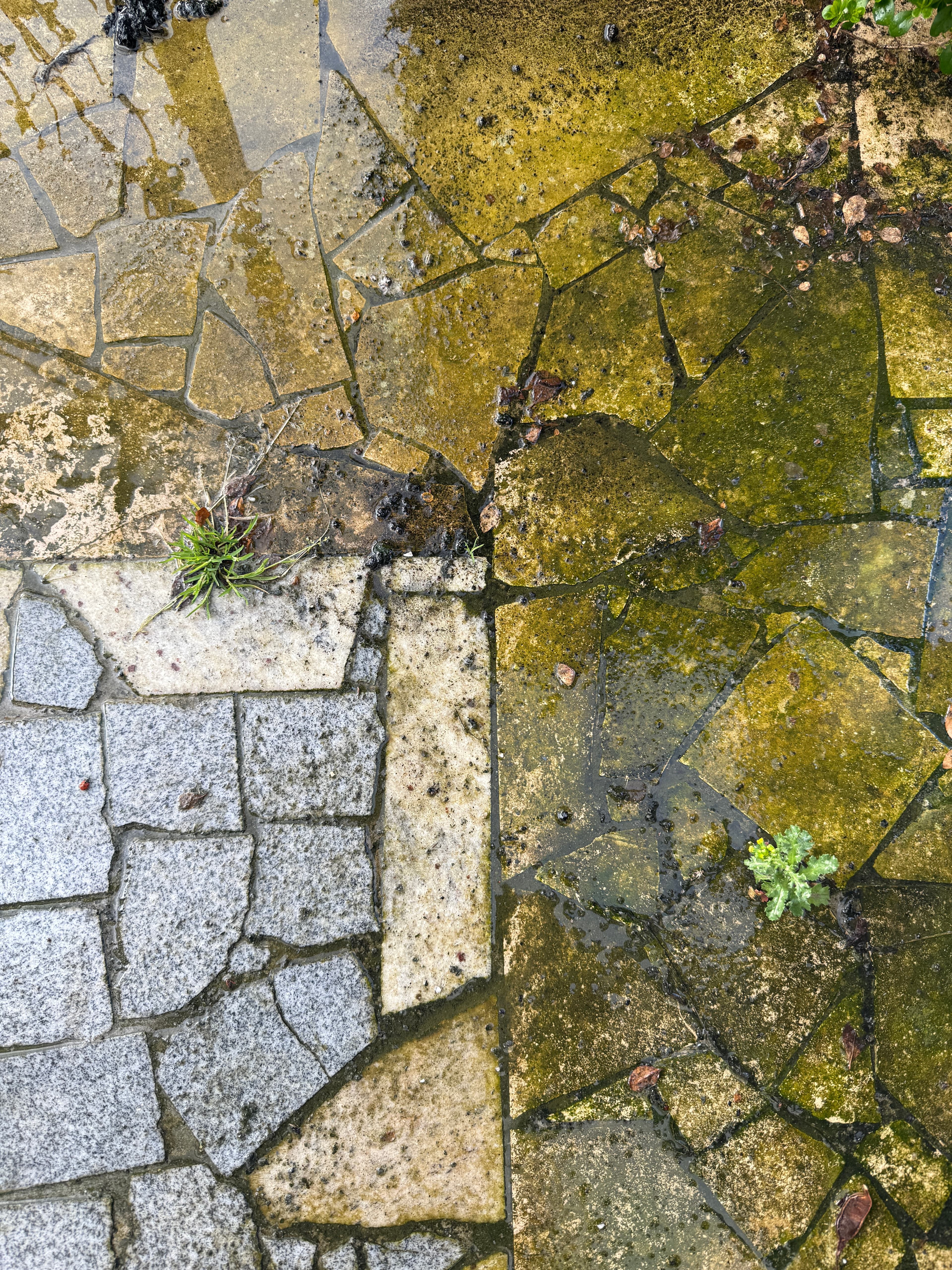 Vorher – verschmutzte Fläche